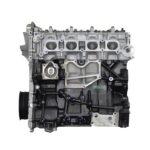VEGE Remanufactured Long Block Crate Engines DFNR - Image 2
