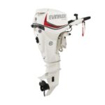 Evinrude E30DPSL E TEC Outboard Motor