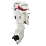 Evinrude E40DRGL E TEC Outboard Motor