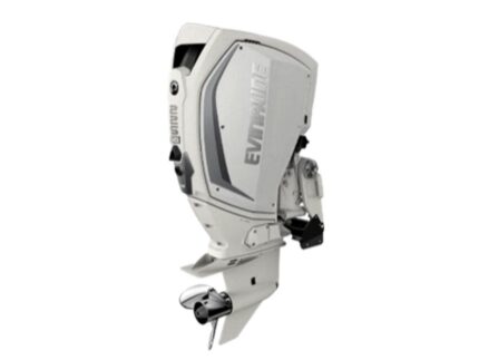 Evinrude H225HWLF 225 H.O Outboard Motor